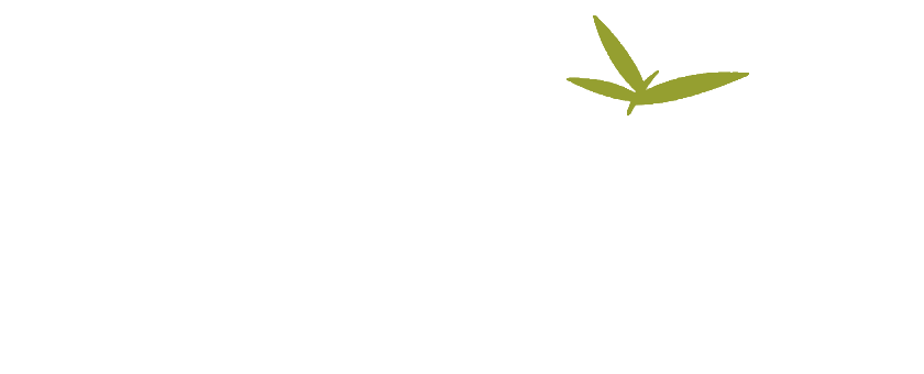 Santo Olivo